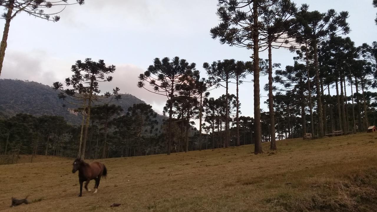 Celeiro Das Aguas Brancas Hotel Urubici Luaran gambar